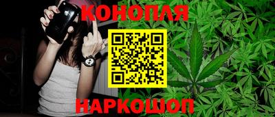 стаф Кулебаки
