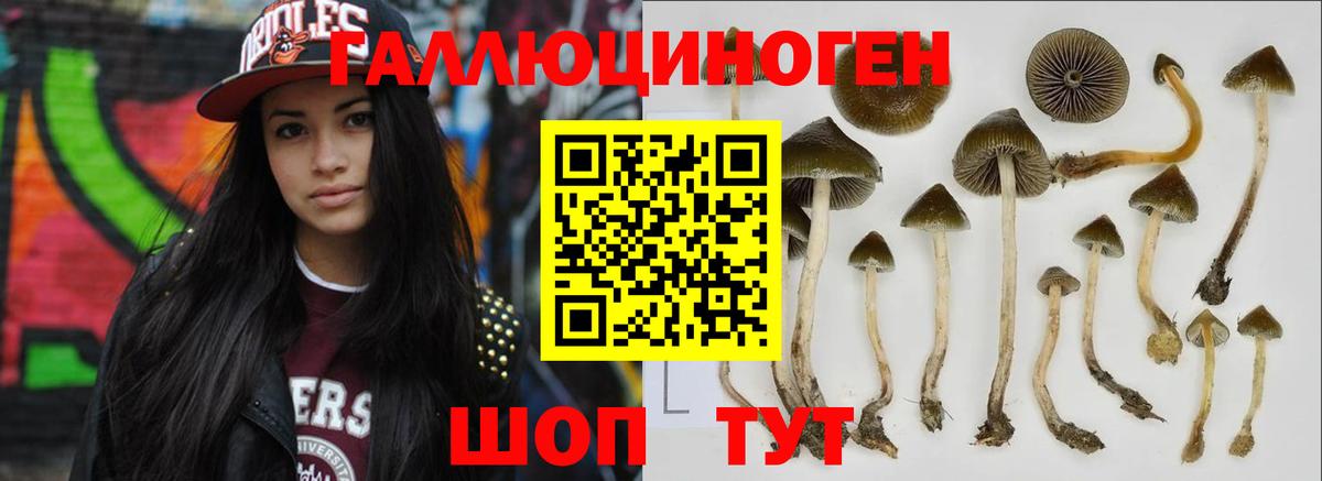 Дмитров  Галлюциногенные грибы мицелий  Вход с VPN 