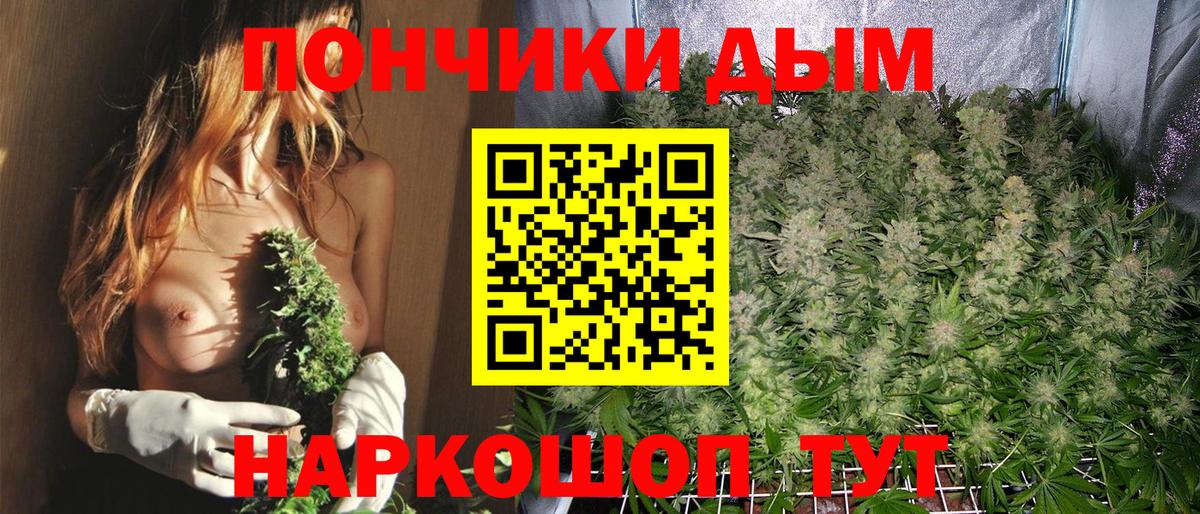 Шишки марихуана Bruce Banner Дмитров